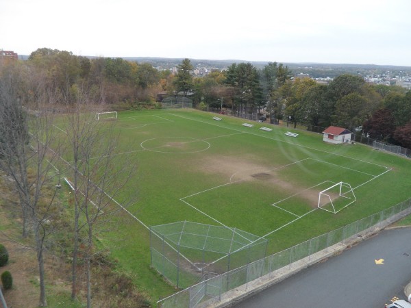 3361f591bbbd47bb4b66a4799effc913_1512725420_8351.jpg